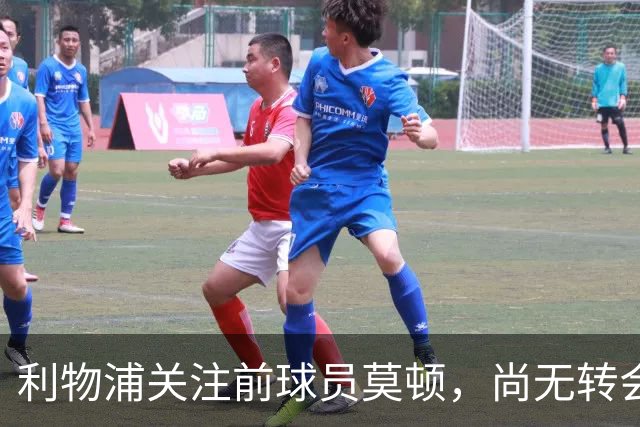 利物浦关注前球员莫顿，尚无转会进展